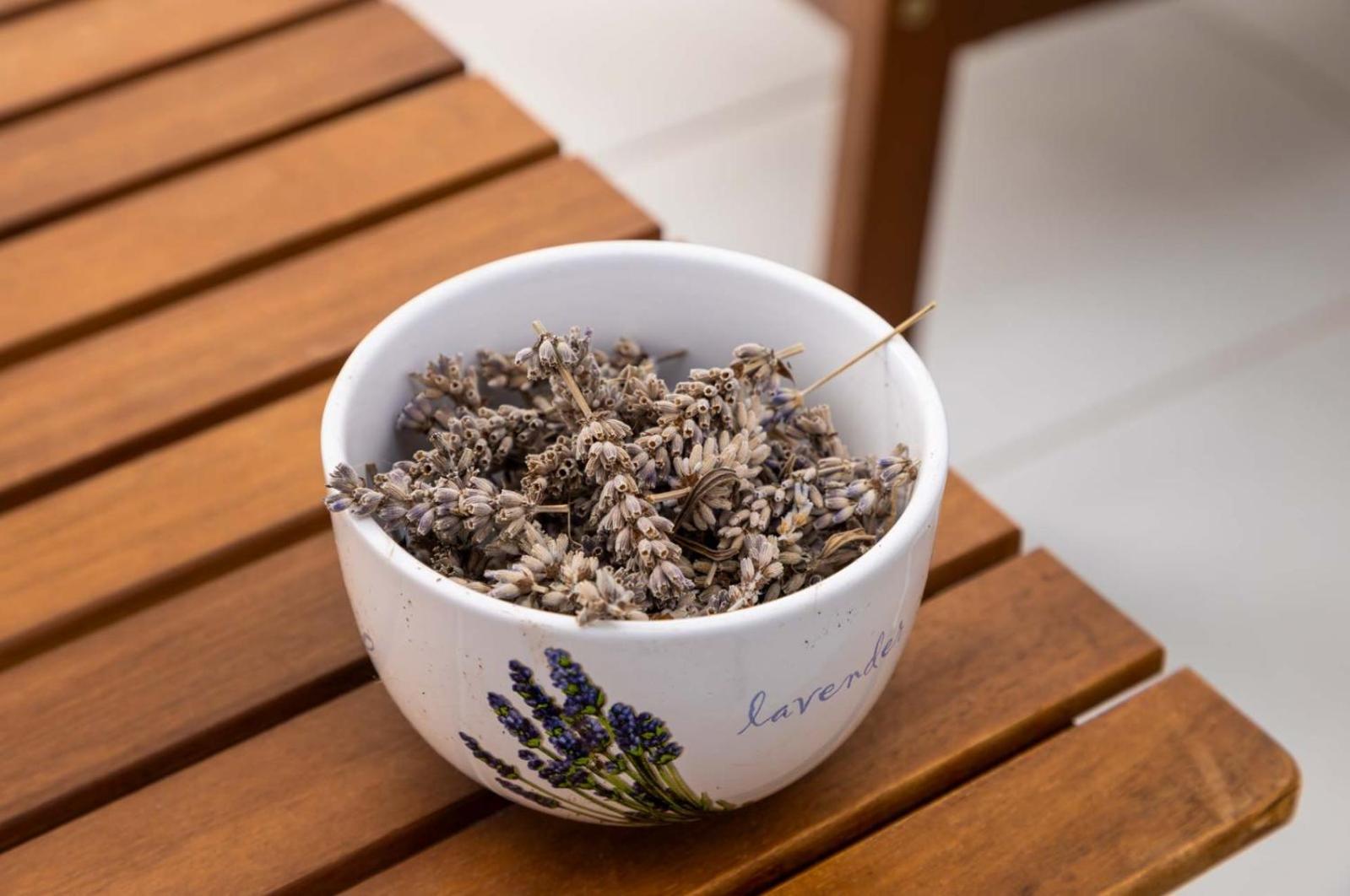 Lavanda *